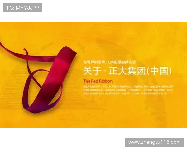 探索正大国际平台的优势与用户体验分享